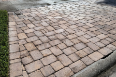 Cleaned driveway pavers