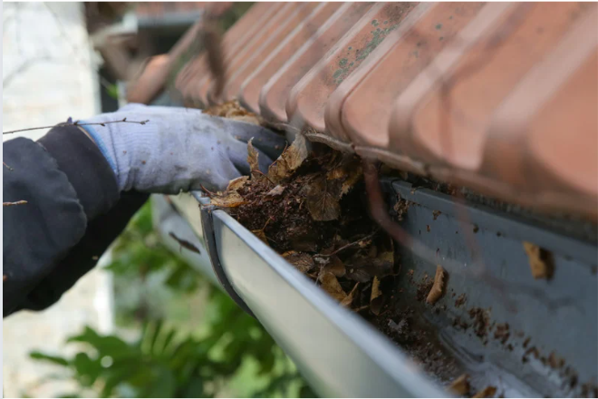 Gutter Cleaning